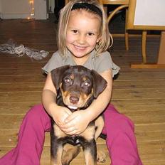 Blanding af racer Bailey