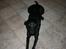 Labrador retriever Silas * R.I.P. * - Vov vov ,, Kender jeg ikk dig ? :) 
