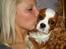 Cavalier king charles spaniel Molly