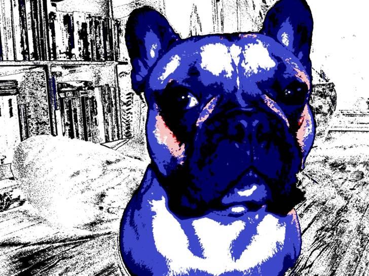 Fransk bulldog Ludwig - Nu som tegneserie... billede 16