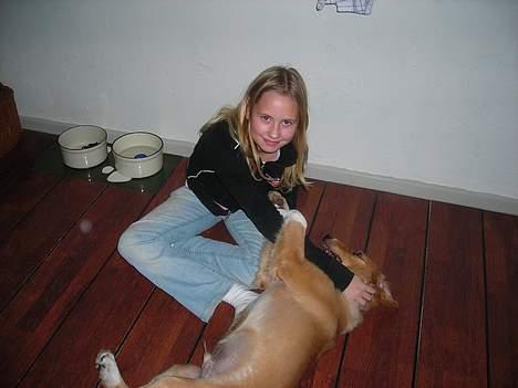 Blanding af racer Buller.... - mig og jeanette er gode venner, selom vi slås nogen gange for sjov!!! he he  billede 5