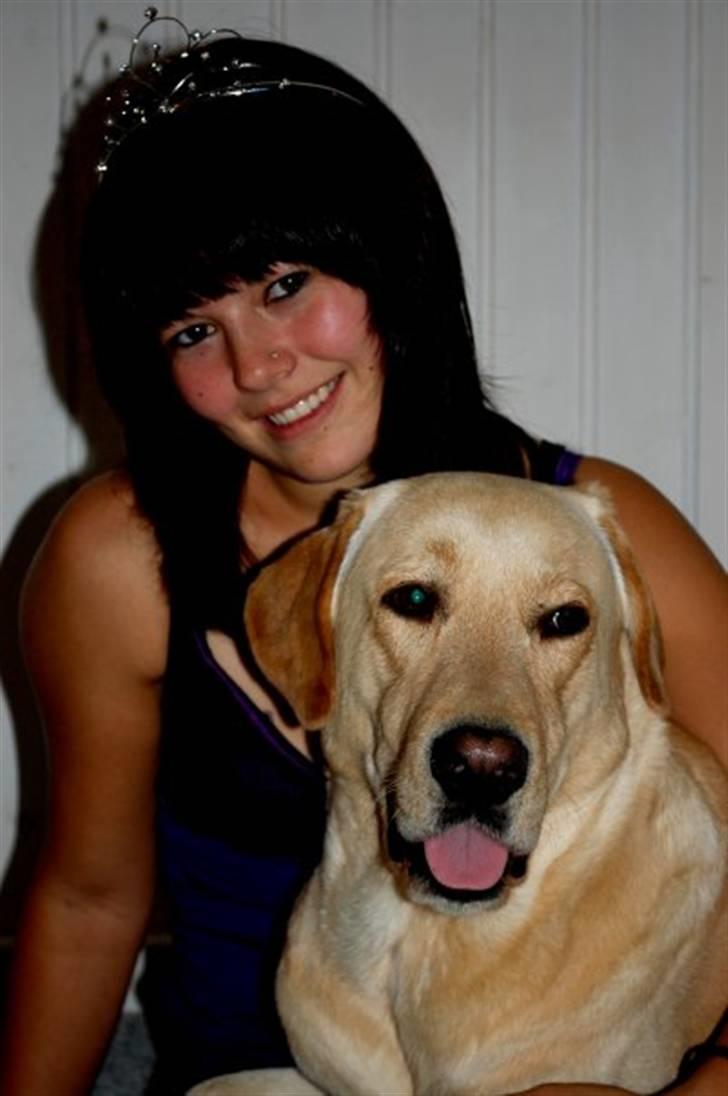 Blanding af racer *zero Sugar* - Mig og Zero :) billede 1