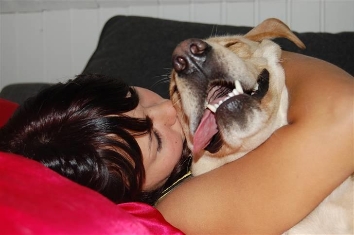 Blanding af racer *zero Sugar* - aaaad mor.  jeg er ligesom en stor dreng nu, jeg bliver bare drillet. billede 10