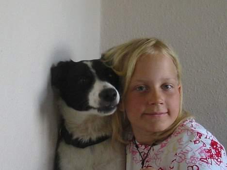 Border collie Myra <33  - <33 Mylle . GAMMELT BILLED .  billede 2