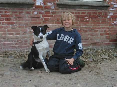 Border collie Myra <33  - mylle & min lillebror . i sommers <3 billede 3