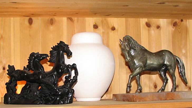 Bullmastiff Goya*elsker dig min skat* - bizart for nogle...men ganske naturligt for mig..min Gøj blir sammen med mig.. billede 19