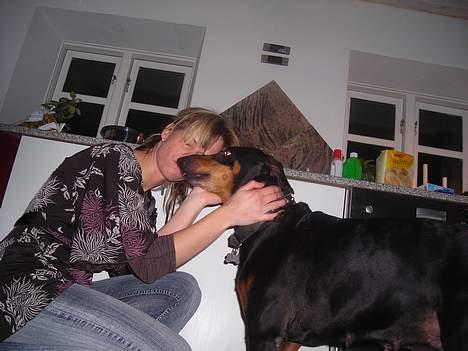 Dobermann sitta ( aflivet) :( rip  - elsker dig mor billede 5