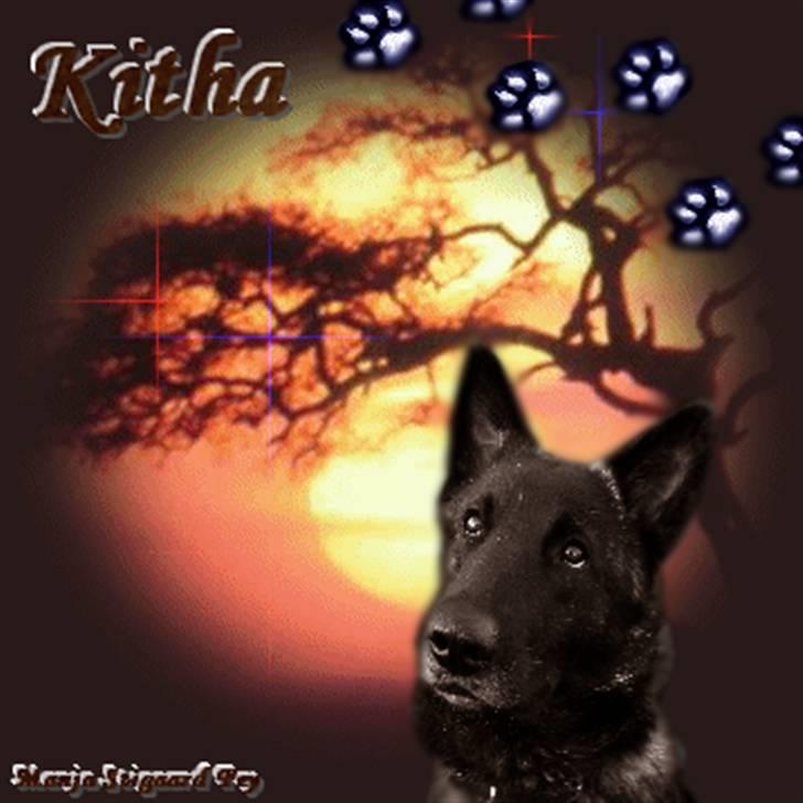 Blanding af racer Kitha   R.I.P - nyt* billede 16