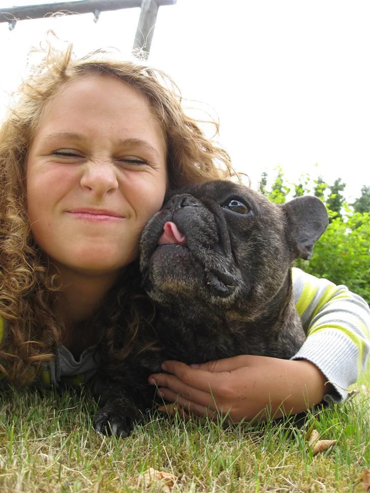 Fransk bulldog Rane Viking R.I.P. <3 - Ægte kærlighed:´) Du vil altid have den største plads i mit hjerte.. billede 1