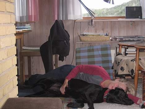 Blanding af racer Andrea (doberdor) Afdød - uhm, Andrea elsker at ligge i ske billede 4