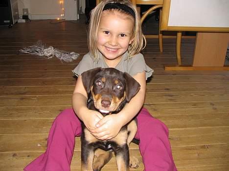 Blanding af racer Bailey - Husets datter er min bedste ven. billede 1