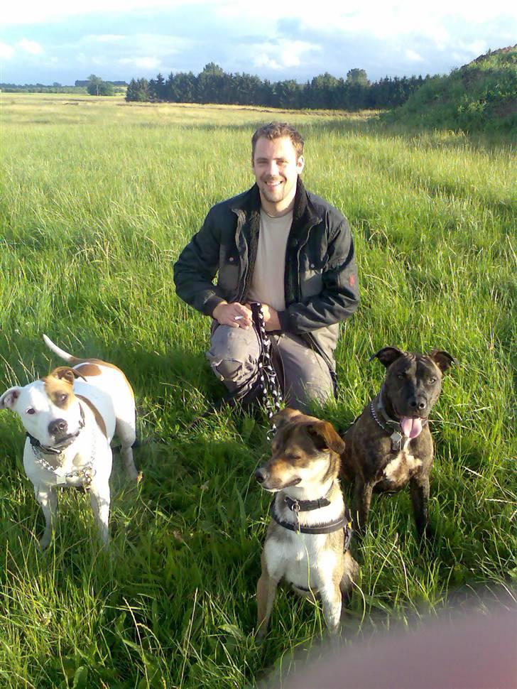 Amerikansk staffordshire terrier Prada *DØD* - søs og brormand, mig  og min faaar billede 4