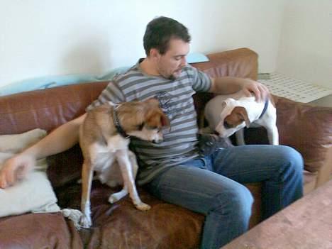 Amerikansk staffordshire terrier Prada *DØD* - Barney, far mig og Baby billede 9