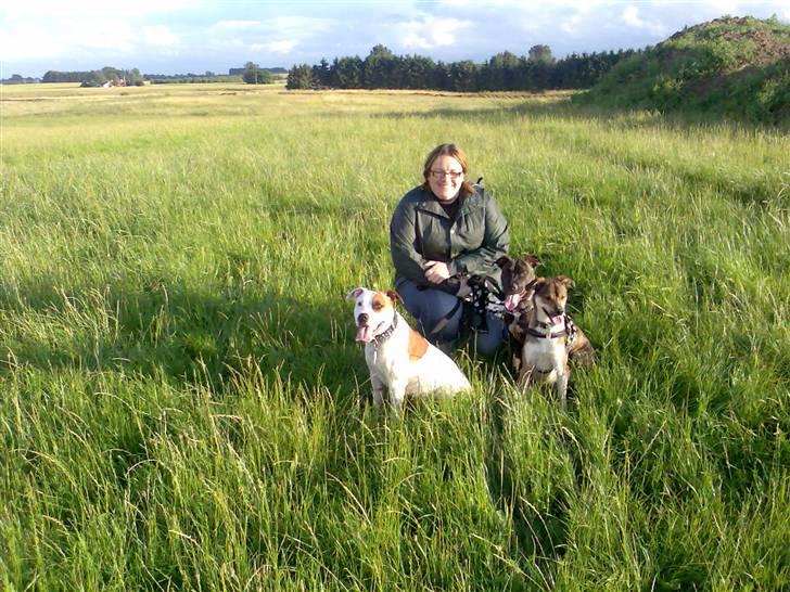 Amerikansk staffordshire terrier Prada *DØD* - Her er vi med min moar  billede 11