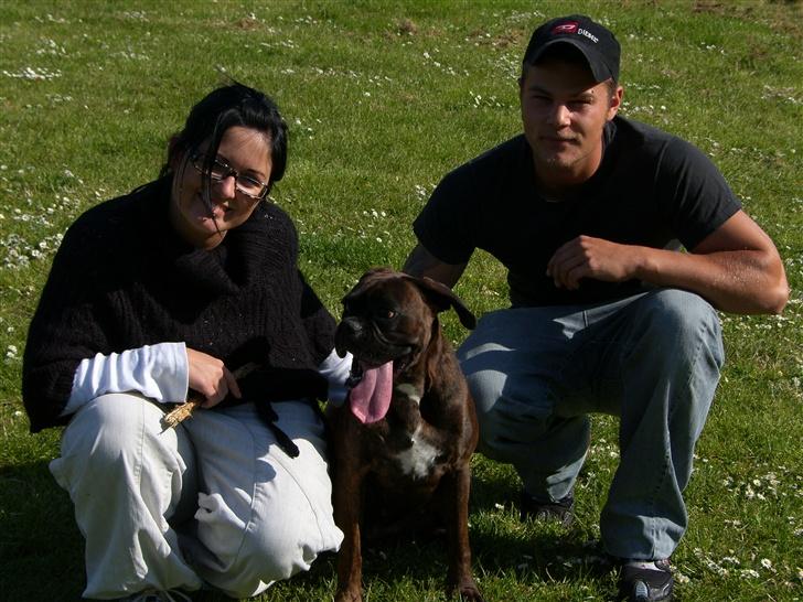 Boxer Dolce - Rip, Rap og Rup billede 15