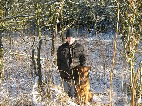 Blanding af racer Tyson - jeg er i skoven : P billede 8