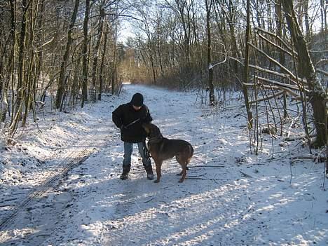 Blanding af racer Tyson - er du klar tyson jeg kaster pinden billede 9