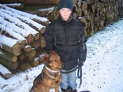 Blanding af racer Tyson - tyson og mig billede 10