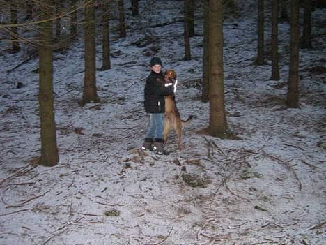 Blanding af racer Tyson - skal vi danse ????????? billede 11