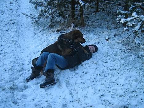 Blanding af racer Tyson - okay du vandt tyson :) billede 12