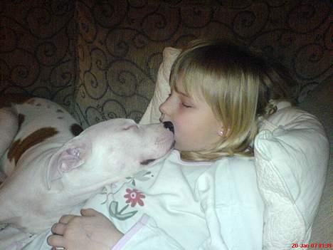 Blanding af racer Chrissie R.I.P. - Vi er sååå søøøøøde....  vi sover ikke, hviler kun....  fnis billede 9