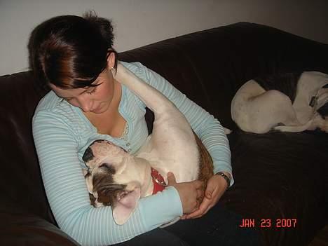 Olde english bulldogge Østergaards Britney - Skønt at snulle lidt med Moaar!!! billede 17