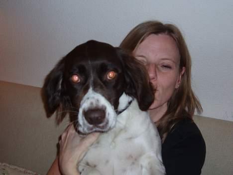 Drentsche patrijshond molly - tak mor for at jeg må side ovenpå dig jeg håber ikke at jeg fylder billede 2