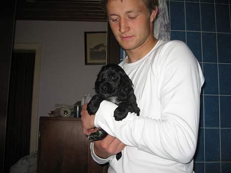 Cocker spaniel Frida - Her er far på besøg for at se mig 1.gang. Jeg er vist fars pige:) billede 4