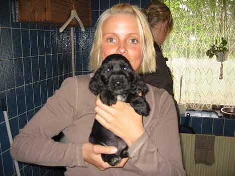 Cocker spaniel Frida - Her er jeg sammen med min mor 1. gang.Jeg er kun 4 uger gammel. billede 7