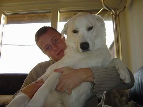 Blanding af racer Basse - Basse og farmand billede 10