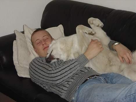 Blanding af racer Basse - Nussetrolde... billede 17