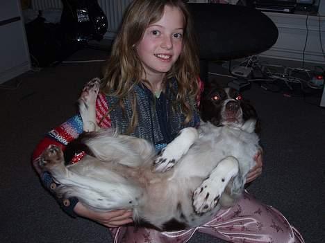 Kleiner münsterländer gina R.I.P :'( - jeg er en baby he he billede 10