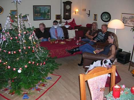 Staffordshire bull terrier TAICO PIRÉZ billede 18