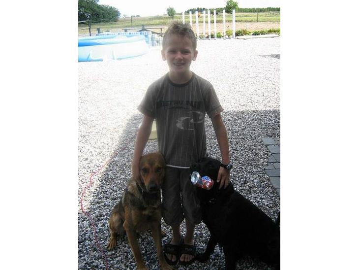 {{currentPhoto.altText}} billede {{currentPhoto.number}}