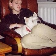 West highland white terrier Bella R.I.P