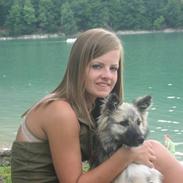 Islandsk fårehund Vinda 