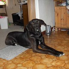 Blanding af racer plet