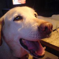 Blanding af racer Kwai (død)