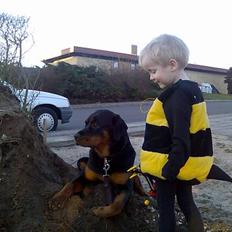 Rottweiler Keeno *1-5 06 - 14-12 09*