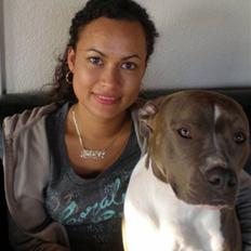 Amerikansk staffordshire terrier Zika † Aug. 2018