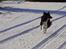 Border collie Sam - Jaaa nu kommer jeg!!!