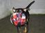 Rottweiler R.I.P Jessie pigen <3 - wee, fuld fart med bolden