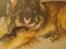 Leonberger khaimas´ cho cachou - taget med mobil