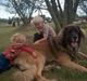 Leonberger khaimas´ cho cachou