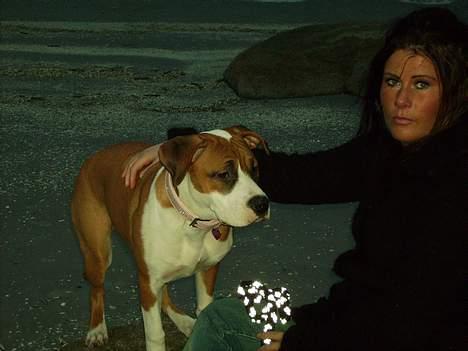 Blanding af racer tøsen billede 15