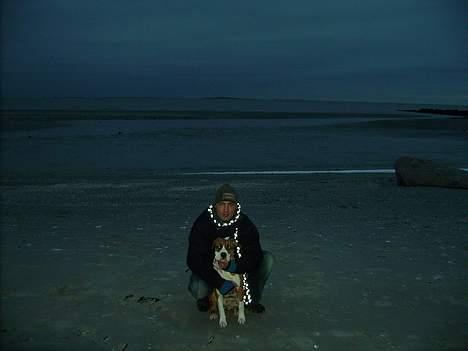 Blanding af racer tøsen billede 19