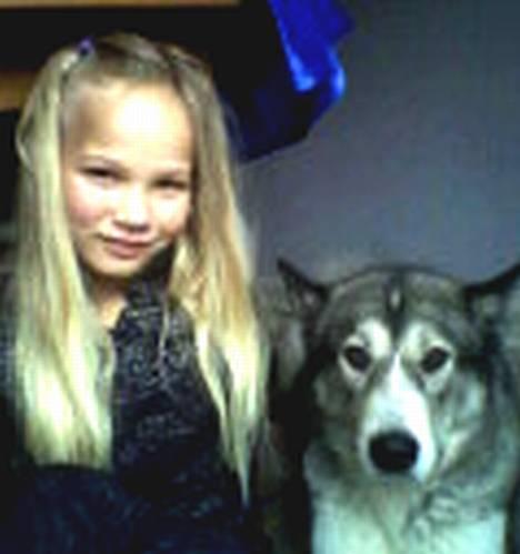 Blanding af racer Malou med 7 hvalpe:D - dejligt sommer potræt billede 4