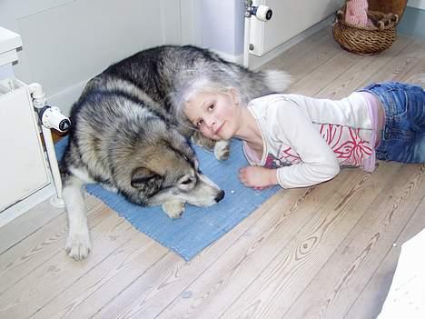 Blanding af racer Malou med 7 hvalpe:D - malou og min dejlige lille søster tager sig en lille lur billede 5