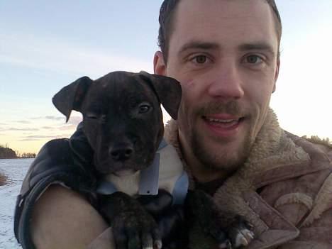 Amerikansk staffordshire terrier Prada *DØD* - Mig og min far :-) Blinker lige til jer *g* (her er jeg en lille hvalp) billede 18