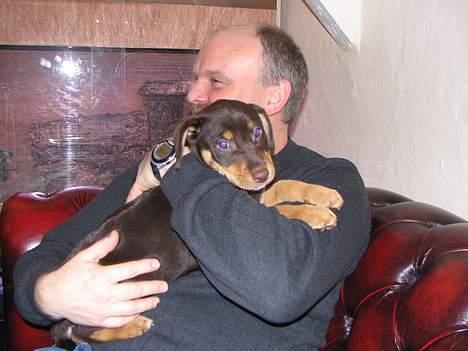 Blanding af racer Bailey - Her sidder min morfar med mig billede 10